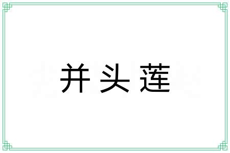 并头莲
