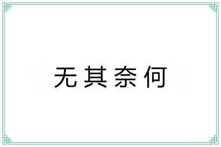 无其奈何