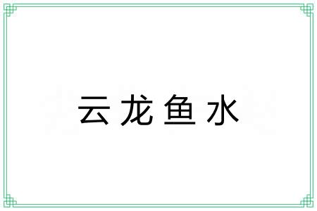 云龙鱼水