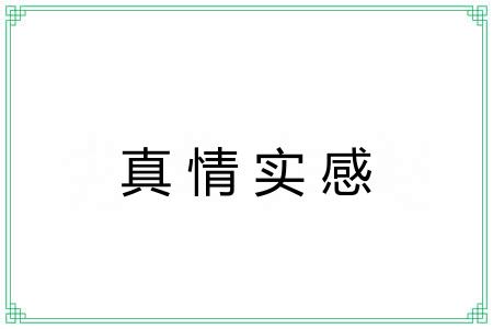 真情实感