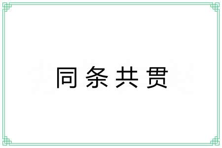 同条共贯