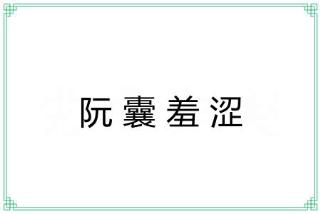 阮囊羞涩