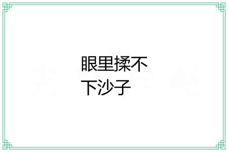 眼里揉不下沙子